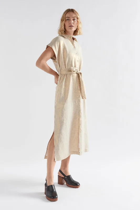 Holiday Discount Metalen Shirt Dress