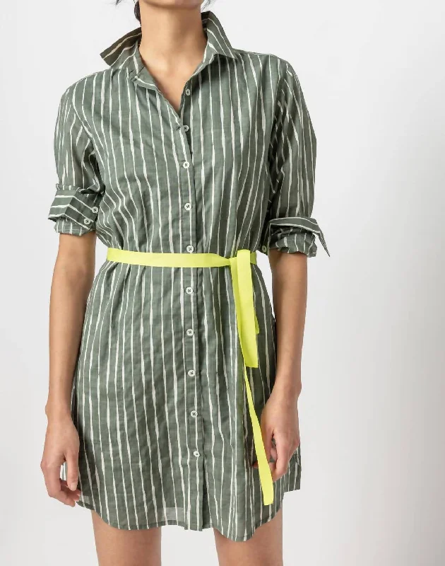 Hot Brand Discounts Long Sleeve Shirt Dress In Artichoke